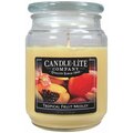 Candle Lite 3297099 18 Oz. Tropical Fruit Medley Jar Candle 141364